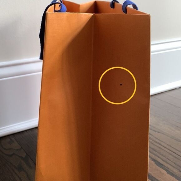 Louis Vuitton Medium 16”x13” Empty Paper Shopping Tote - Replacement Gift Bag - Picture 9 of 10